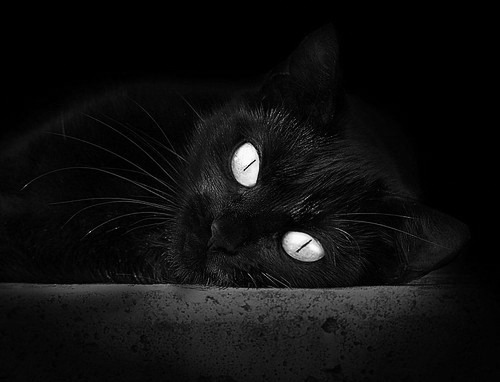 -英格兰主场轻取捷克，成功晋级欧锦赛淘汰赛，欧洲杯预选赛英格兰对捷克