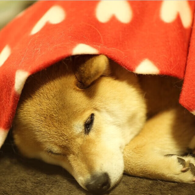 足球場上的激烈對抗,波濤洶湧的熱血時刻,足球赛激烈怎么形容