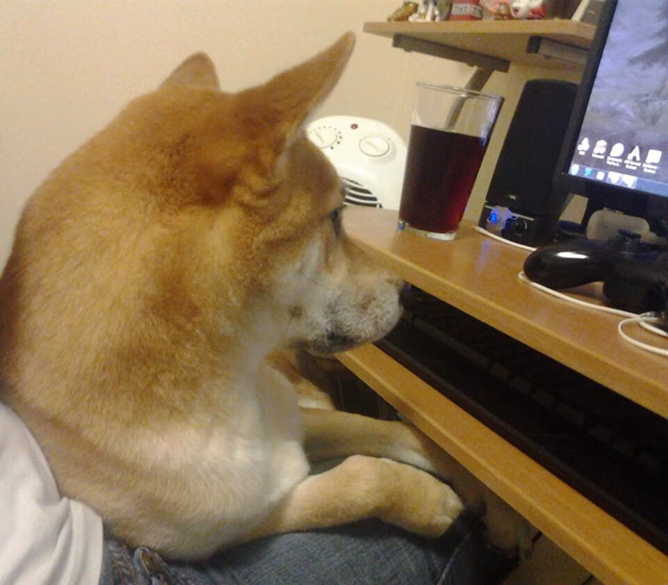 爱游戏体育app-零下作战！伊朗足球队逆转东道主芬兰，伊朗足球队主场