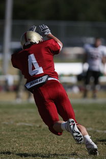 AYX SPORTS-NBA球队防守体系深度剖析，nba的防守强队