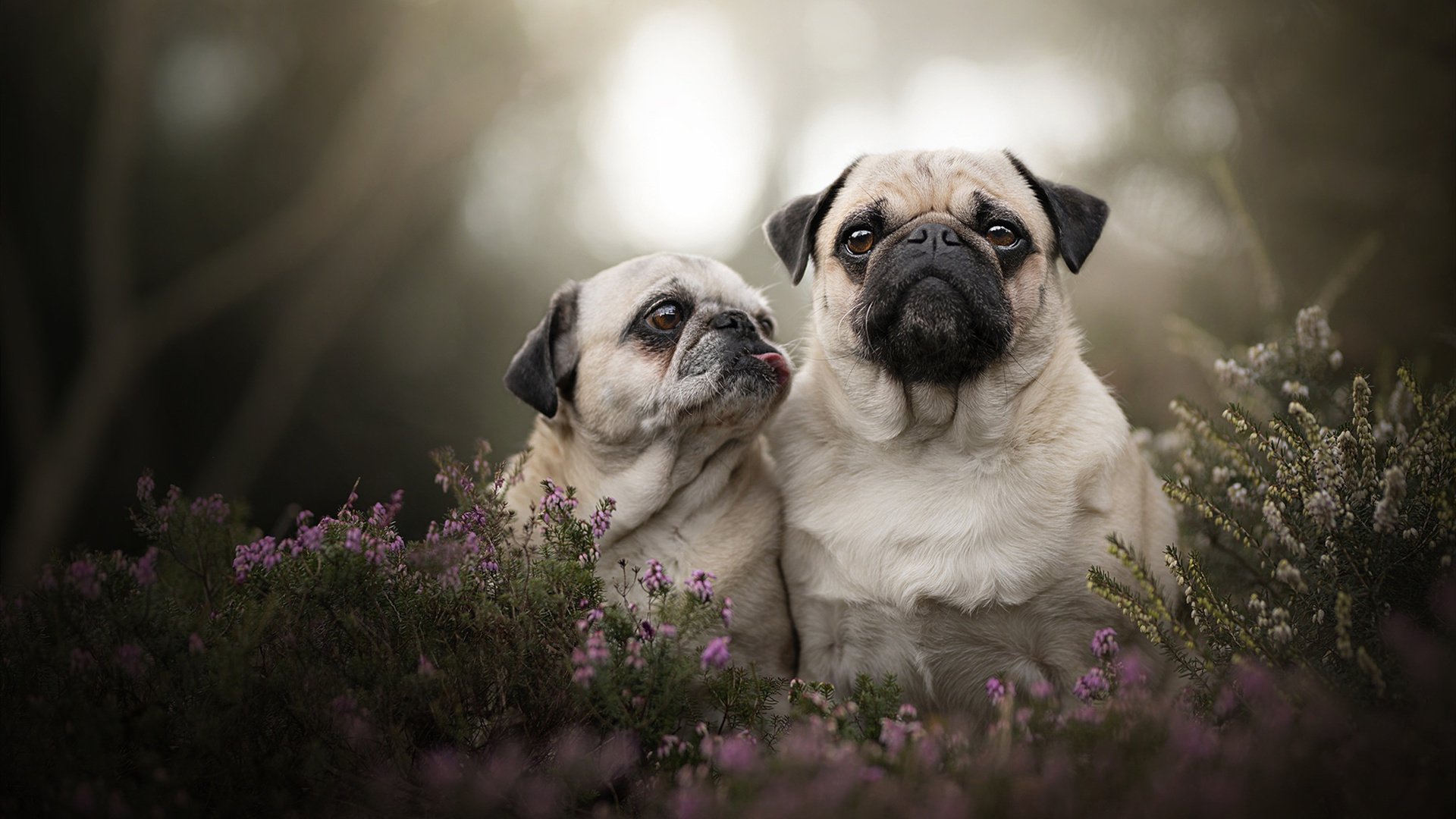 “天府新区沙滩赛场：沙滩合球挑战传统竞技”