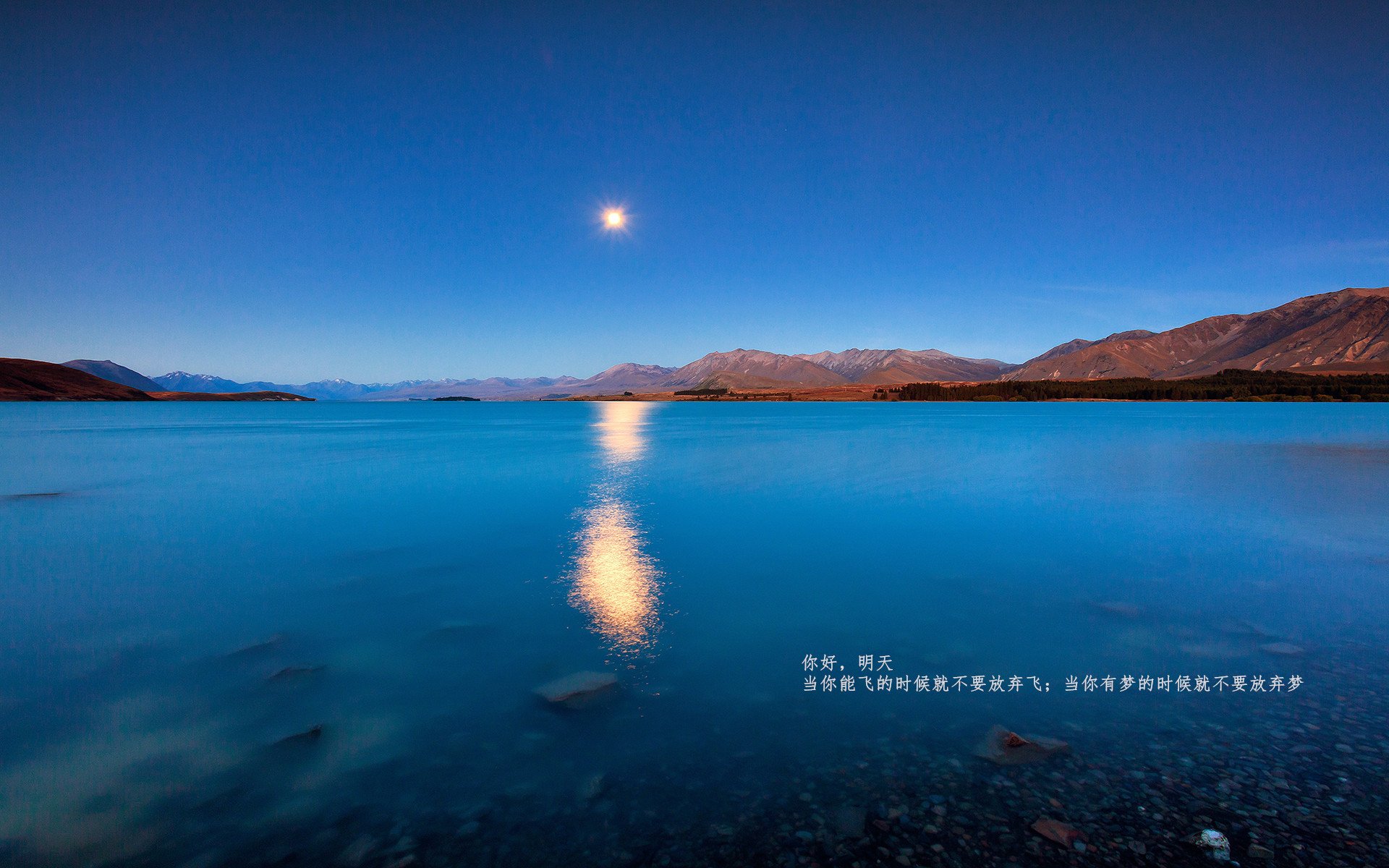 中国羽毛球公开赛再迎世界顶尖选手，羽毛球比赛中国公开赛