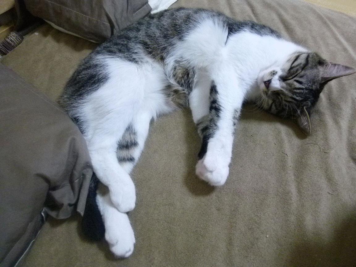 五大联赛球队防守站位对战术风格的体现,球队防守效率排名