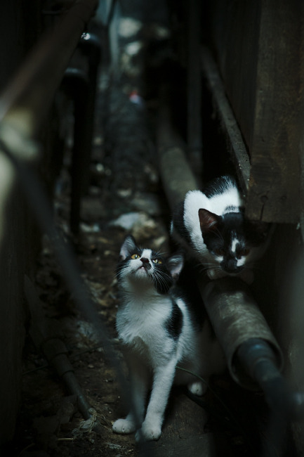 爱游戏中国官方网站平台-体育新闻中心共建赛事内容资产管理区块链平台，最新的体育赛事新闻稿