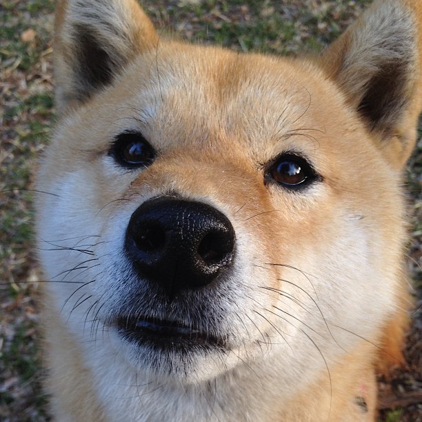 体育新闻中心开展体育传媒人才职业素养培训，体育培训宣传页