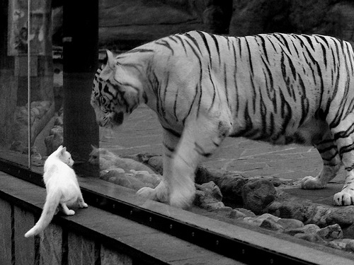 体育新闻中心构建智慧体育场馆互动内容平台,2020智慧体育场馆高峰论坛