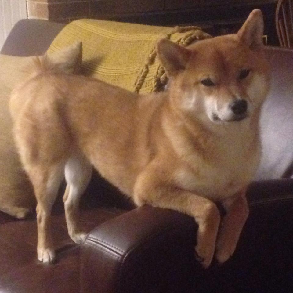 莱比锡红牛节奏变化打乱对方部署，莱比锡红牛是豪门吗