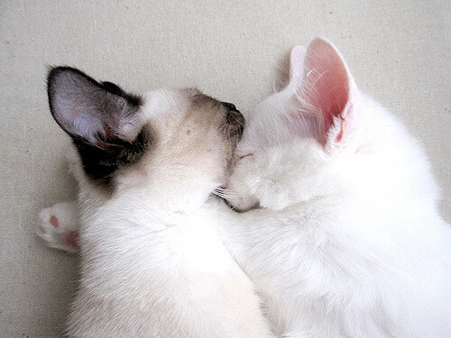 爱游戏下载-转换进攻节奏是否受制于篮板保护能力，nba转换进攻