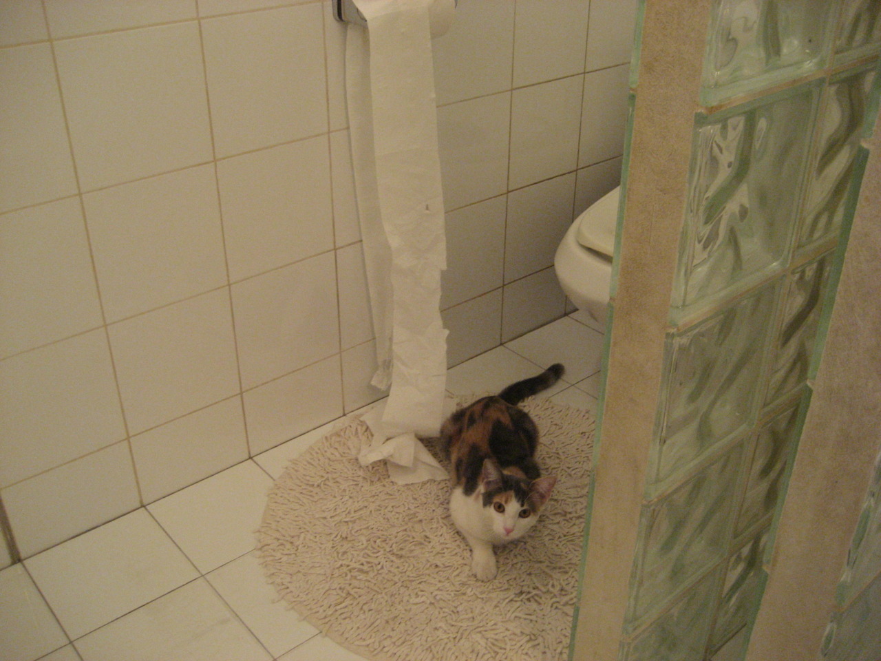 凯恩·瑞安:在场上不断完善自我,逐渐成为全黑队的不可或缺球员