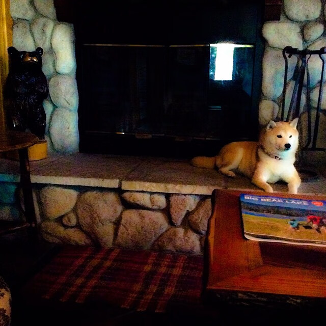 爱游戏官网-德甲新赛季商业赞助报告，德甲商业化