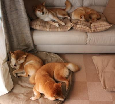 爱游戏娱乐平台-特斯·冯·迪克：通过出色的体能和技术优势，掌控南非队比赛节奏